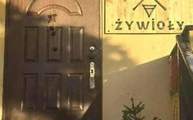 Cztery Żywioły